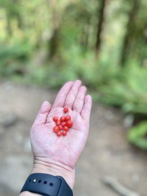 Wallace Falls State Park