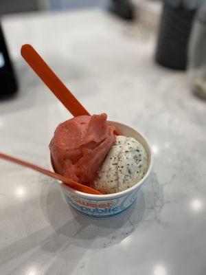 Double Scoop- strawberry sorbet, mint ($6)