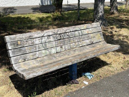 Bench on Chehalis River Walkway