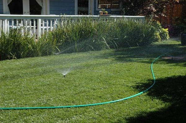 Sprinklers and a lawn for the children to play on (Wet or dry)