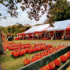 Pumpkin Festival