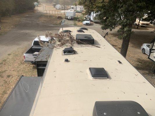 Tree branches falling on on my trailer!