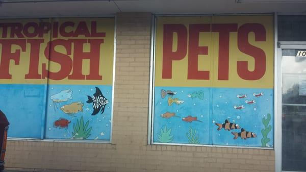 Aquatic Mural in front of the store.