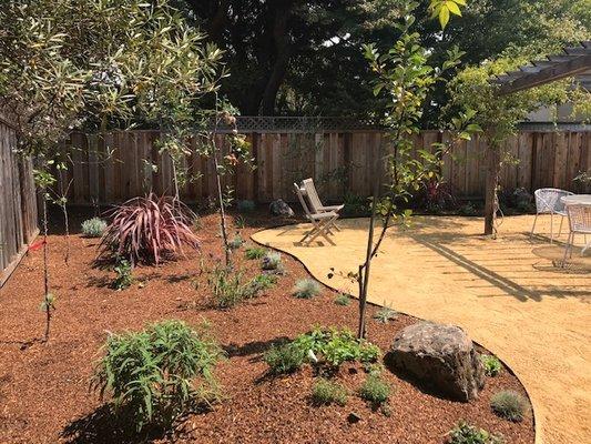 Beautiful yard Makeover in North Berkeley