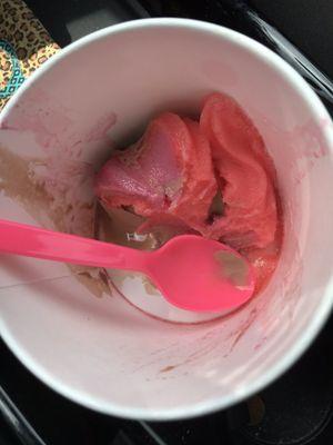 Chocolate and Hawaiian delight froyo