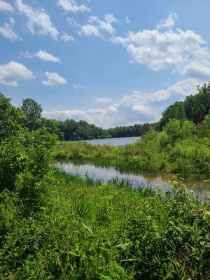 Glimpse of the lake