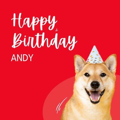 Warmest wishes on your special day, Andy! Your positivity and hard work make every day brighter for our team...