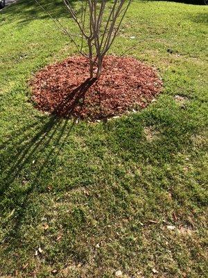 Lawn maintenance and mulch install