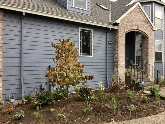 Newly planted front landscape bed.