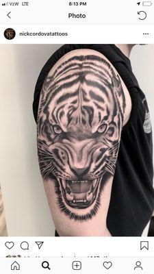 Nick Cordovas tiger piece on my arm