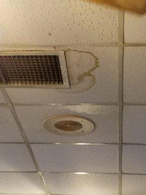 Water stained ceiling and black mold