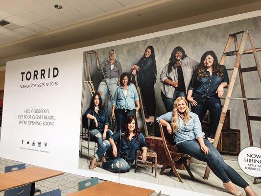 Torrid, is coming back to the Maine mall.