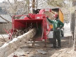 Weather Debris or Tree Removal Clean Up