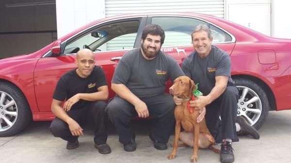 Meet your new best friends. From L to R Carlos, Jake, and Buzz. Featuring Buckeye!