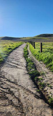 Dirt path