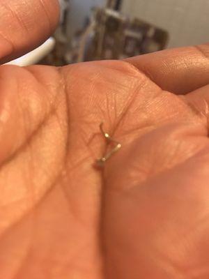 Perfect size nostril screw.