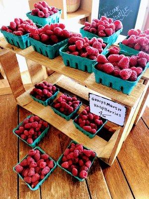 Fresh local summer rapsberries