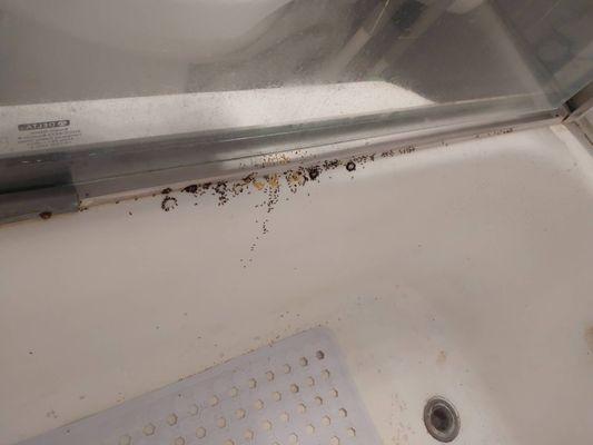 Ants in a bathtub