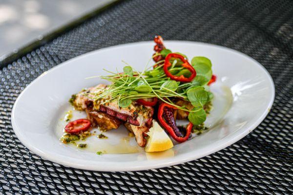 Grilled Octopus starter