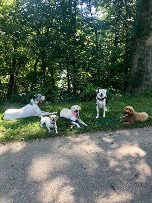 Pack Adventure at Lake Roland