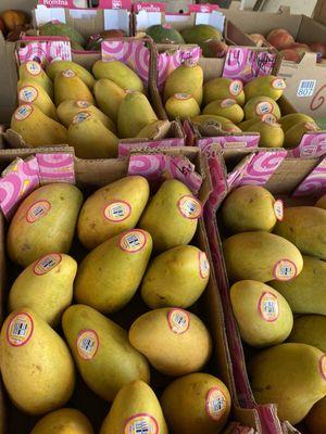 Mangoes