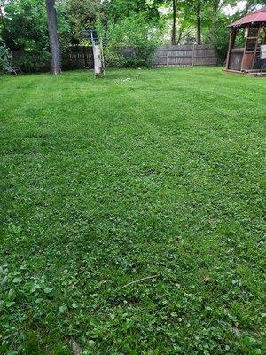 A property that i have mowed in the past year