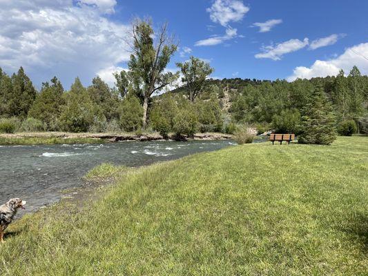 Picnic area off trail