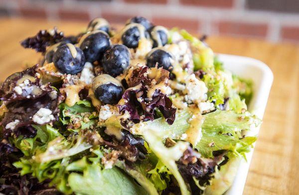 Verona Salad with fresh spring mix , blueberries , blue cheese , honey glazed pecans and apricot dressing .