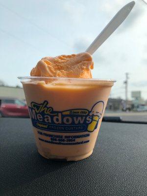 Creamsicle Custard - yummy