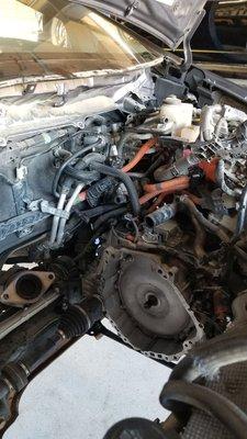 Engine swap on Prius Hatchback blown head gasket