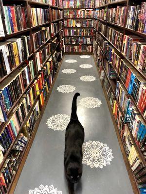 Something about books and cats makes a bookstore even better! Watch out for this cute little guy running around the store.