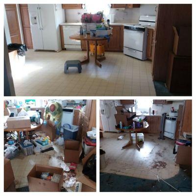 Before and after pictures.
Deep bio hazards wast cleaning, including organised packing.