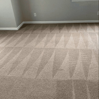 carpet cleaning Birmingham AL