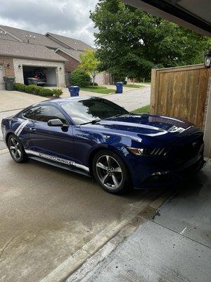 Standard Shine Detailing Finish on Mustang