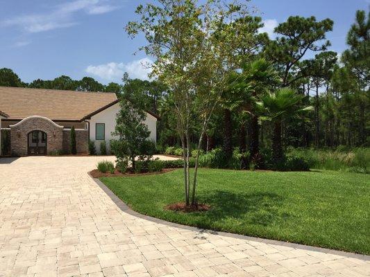 New construction. Brick paver driveway, full landscaping installation. Palm trees, trees, shrubs, Irrigation, sod & pine straw installation.