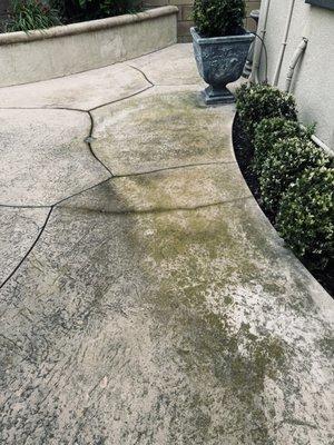 Before pressure wash and treatment.