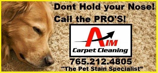 AIM Carpet Care & Restoration