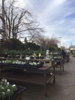 The nursery with flower and other garden accessories.