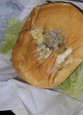 Mold on chicken sanwhich