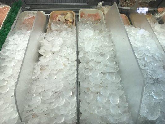 The meat is super fresh and they pack it in ice for further freshness!