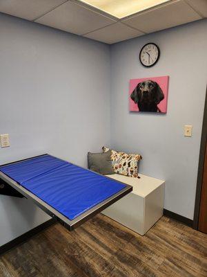 Creating a more homey feeling was essential when revamping our exam rooms. We aim to make your pet as calm as possible while at the vet!