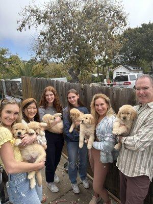 Our staff and a Litter of puppies!