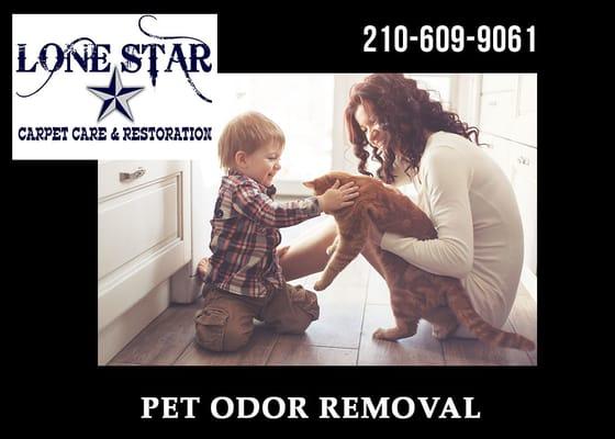 Pet Odor Removal - Lone Star Carpet Care San Antonio, Texas