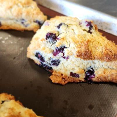 blueberry scone