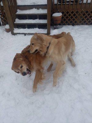 These 2 love snow days!