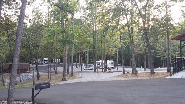 Just a small part of the campground. Lots of tall trees offering shade.