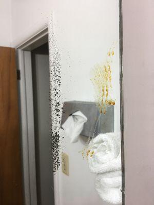 Bathroom Mirror: What is that?