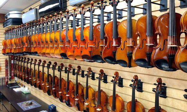 Largest selection of violins, violas and cellos in West County. From student to professional level.