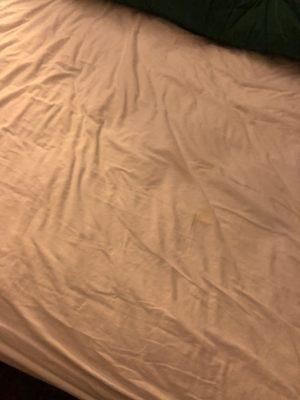 Pee stains on bed sheets