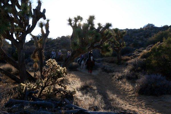 Short Loop Trail